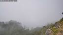 ./images/calvert/foggy-cove/20260821/foggy-cove20260821_163501M.jpg