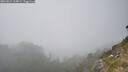 ./images/calvert/foggy-cove/20260821/foggy-cove20260821_164002M.jpg
