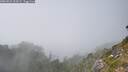 ./images/calvert/foggy-cove/20260821/foggy-cove20260821_164501M.jpg