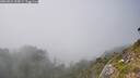 ./images/calvert/foggy-cove/20260821/foggy-cove20260821_165002M.jpg