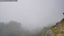 ./images/calvert/foggy-cove/20260821/foggy-cove20260821_165501M.jpg