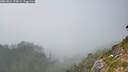 ./images/calvert/foggy-cove/20260821/foggy-cove20260821_170002M.jpg
