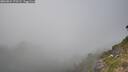 ./images/calvert/foggy-cove/20260821/foggy-cove20260821_170501M.jpg