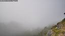 ./images/calvert/foggy-cove/20260821/foggy-cove20260821_171001M.jpg