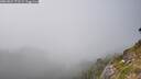 ./images/calvert/foggy-cove/20260821/foggy-cove20260821_171501M.jpg