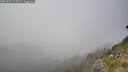 ./images/calvert/foggy-cove/20260821/foggy-cove20260821_172002M.jpg