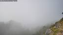 ./images/calvert/foggy-cove/20260821/foggy-cove20260821_172501M.jpg