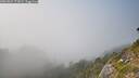 ./images/calvert/foggy-cove/20260821/foggy-cove20260821_173002M.jpg