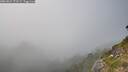 ./images/calvert/foggy-cove/20260821/foggy-cove20260821_173501M.jpg