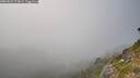 ./images/calvert/foggy-cove/20260821/foggy-cove20260821_174002M.jpg