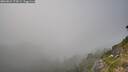 ./images/calvert/foggy-cove/20260821/foggy-cove20260821_174501M.jpg