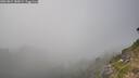 ./images/calvert/foggy-cove/20260821/foggy-cove20260821_180001M.jpg
