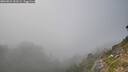 ./images/calvert/foggy-cove/20260821/foggy-cove20260821_181001M.jpg