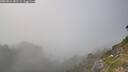 ./images/calvert/foggy-cove/20260821/foggy-cove20260821_181501M.jpg