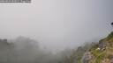 ./images/calvert/foggy-cove/20260821/foggy-cove20260821_182001M.jpg