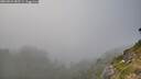 ./images/calvert/foggy-cove/20260821/foggy-cove20260821_182501M.jpg