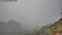 ./images/calvert/foggy-cove/20260821/foggy-cove20260821_183001M.jpg