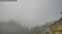 ./images/calvert/foggy-cove/20260821/foggy-cove20260821_183502M.jpg