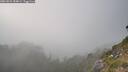 ./images/calvert/foggy-cove/20260821/foggy-cove20260821_184001M.jpg