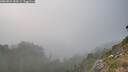 ./images/calvert/foggy-cove/20260821/foggy-cove20260821_184501M.jpg