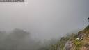 ./images/calvert/foggy-cove/20260821/foggy-cove20260821_185001M.jpg