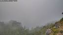 ./images/calvert/foggy-cove/20260821/foggy-cove20260821_190001M.jpg