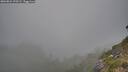 ./images/calvert/foggy-cove/20260821/foggy-cove20260821_190501M.jpg