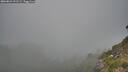 ./images/calvert/foggy-cove/20260821/foggy-cove20260821_191501M.jpg