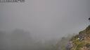 ./images/calvert/foggy-cove/20260821/foggy-cove20260821_192001M.jpg