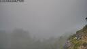 ./images/calvert/foggy-cove/20260821/foggy-cove20260821_193501M.jpg