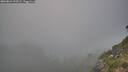 ./images/calvert/foggy-cove/20260821/foggy-cove20260821_194502M.jpg