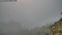 ./images/calvert/foggy-cove/20260821/foggy-cove20260821_195001M.jpg