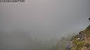 ./images/calvert/foggy-cove/20260821/foggy-cove20260821_195501M.jpg