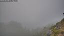 ./images/calvert/foggy-cove/20260821/foggy-cove20260821_200002M.jpg