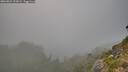 ./images/calvert/foggy-cove/20260821/foggy-cove20260821_201002M.jpg
