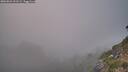 ./images/calvert/foggy-cove/20260821/foggy-cove20260821_201501M.jpg