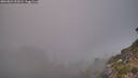 ./images/calvert/foggy-cove/20260821/foggy-cove20260821_202001M.jpg