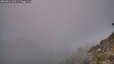 ./images/calvert/foggy-cove/20260821/foggy-cove20260821_202501M.jpg