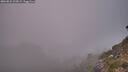 ./images/calvert/foggy-cove/20260821/foggy-cove20260821_203002M.jpg