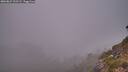 ./images/calvert/foggy-cove/20260821/foggy-cove20260821_203501M.jpg
