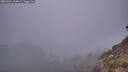 ./images/calvert/foggy-cove/20260821/foggy-cove20260821_204001M.jpg