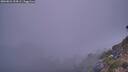 ./images/calvert/foggy-cove/20260821/foggy-cove20260821_204501M.jpg
