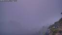 ./images/calvert/foggy-cove/20260821/foggy-cove20260821_205501M.jpg