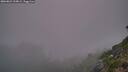 ./images/calvert/foggy-cove/20260821/foggy-cove20260821_210001M.jpg