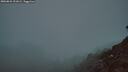./images/calvert/foggy-cove/20260821/foggy-cove20260821_211001M.jpg