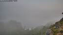 ./images/calvert/foggy-cove/20260822/foggy-cove20260822_061501M.jpg