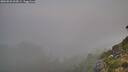 ./images/calvert/foggy-cove/20260822/foggy-cove20260822_062001M.jpg