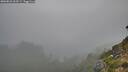 ./images/calvert/foggy-cove/20260822/foggy-cove20260822_062501M.jpg