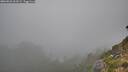 ./images/calvert/foggy-cove/20260822/foggy-cove20260822_063501M.jpg