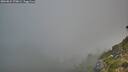 ./images/calvert/foggy-cove/20260822/foggy-cove20260822_070001M.jpg
